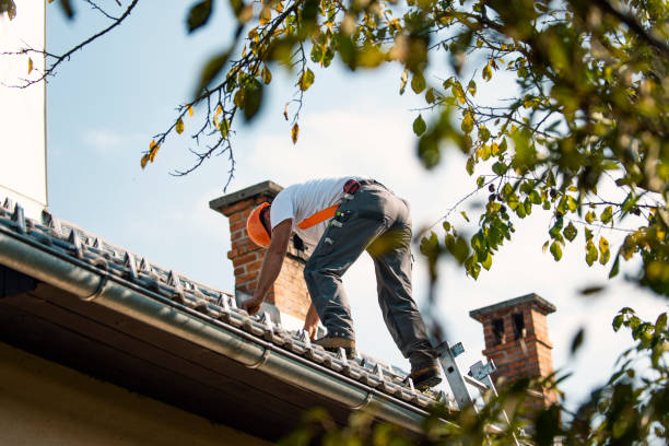 Best Roof Waterproofing Services  in Union City, CA